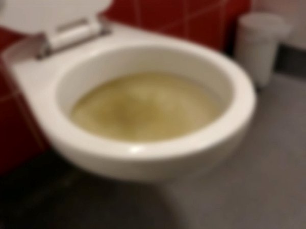 tıkalı tuvalet